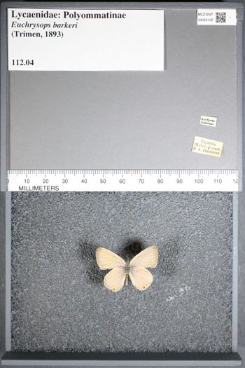 Media type: image;   Entomology 50100